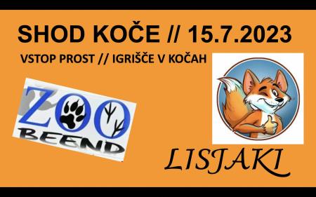 Shod v kocah_2023